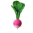 massaggiagengive-ramona-the-radish-oli&carol